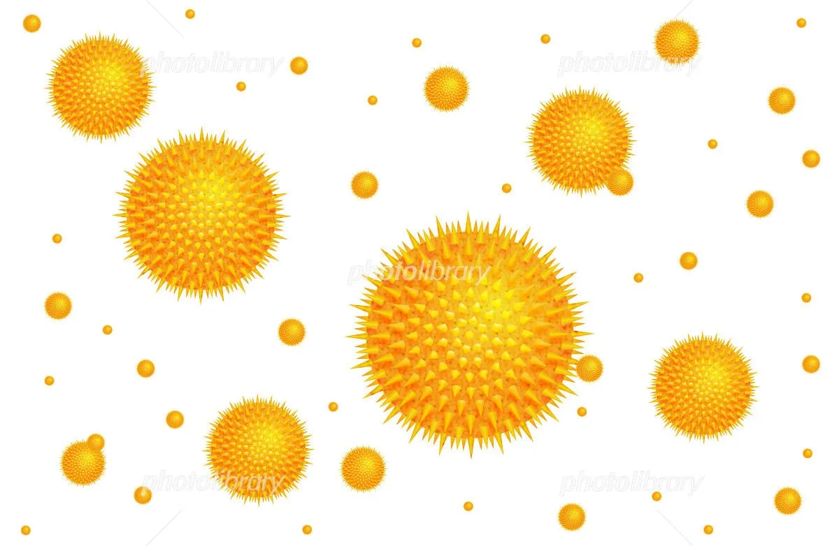 光触媒で花粉対策